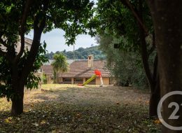 c21_202_3275_2369_1_E2A633E6-B782-49DF-8D01-352310D60394