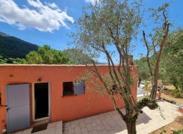 photo_1_2025-07-23_11-35-23