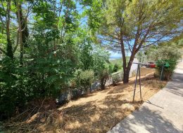 photo_46_2025-07-23_11-35-23