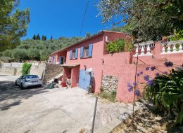 photo_47_2025-07-23_11-35-23