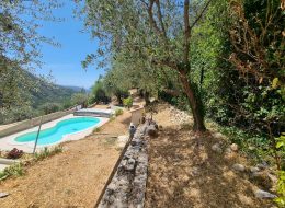 photo_4_2025-07-23_11-35-23