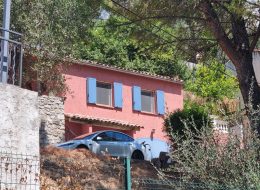 photo_51_2025-07-23_11-35-23