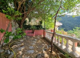 photo_8_2025-07-23_11-35-23